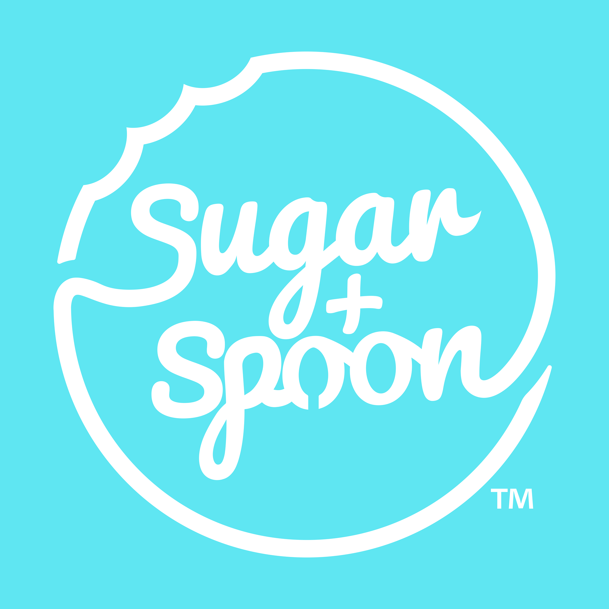 Sugar + Spoon Digital Pack